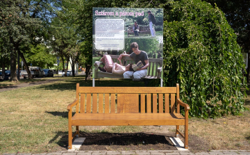 Sztárom a párom pad Adyvárosban