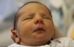 Böröcz-Katona Zente 