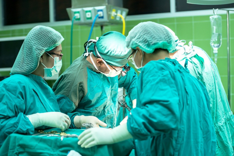 307 szervátültetés történt Magyarországon tavaly