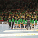 2017.11.06. Győri Audi Eto KC-Rostov Don női kézilabda Bajnokok Ligája Fotók:árpika .