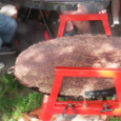 Kuckó Mackó 5. születésnap és jótékonysági evőverseny