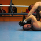 2013.02.16.Szombat Profi MMA És Box Mérkőzés Fotók:árpika