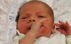 Magyar András Gábor