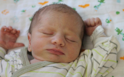 Fischer-Pósch Márk