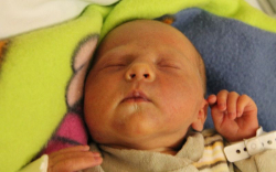 Pelyhe Rebeka Liliána