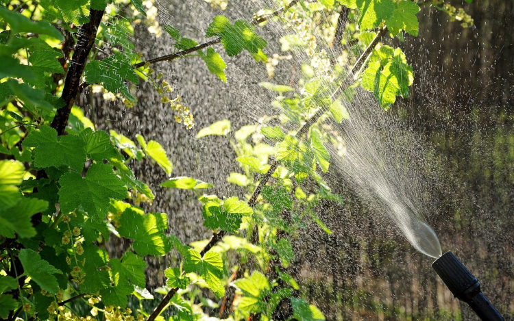 Növényvédelmi permetezés lesz két éjjel is Győrben