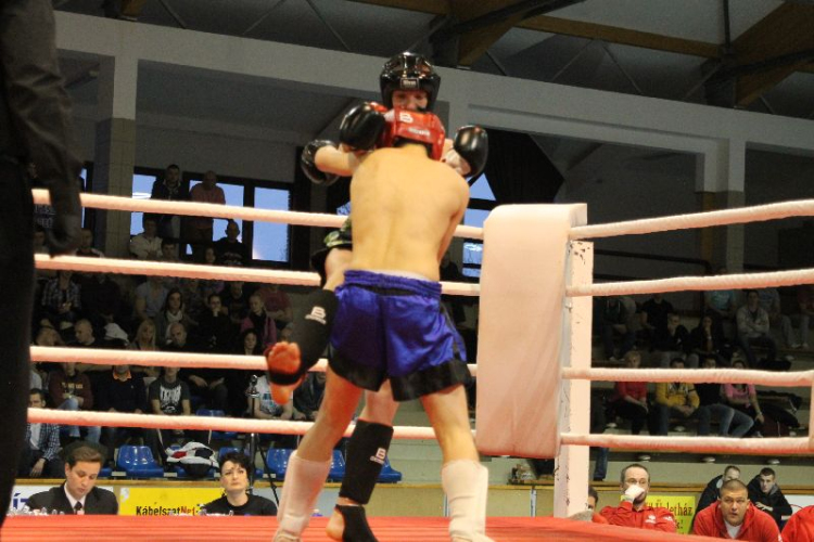 2013.03.31 Szombat IV.KOKO-GYM Küzdősport gála (1) fotók:árpika