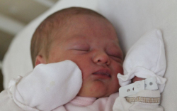 Békési Dorina Hanna 