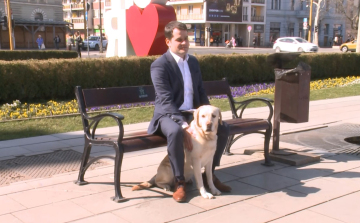 Vasárnapig lehet regisztrálni a kutyákat Győrben