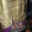  2015.10.10.Mamma Mia Video Disco Dj:Hubik & Solymi Conga Fotók:árpika