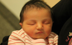 Németh Dorina Noémi 