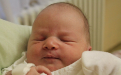 Plózer Rebeka Viktória