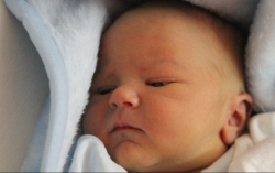 Kárpát Gergely Márk 