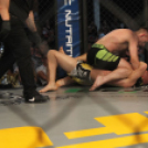 2015.05.09. Profi MMA Gála fotók:árpika