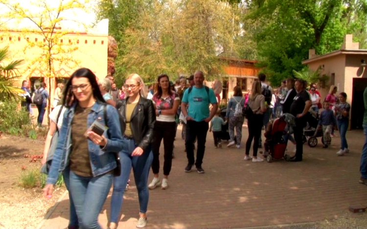 Mintegy tízezren majálisoztak