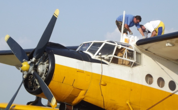 Tájékoztató szúnyoggyérítésről 