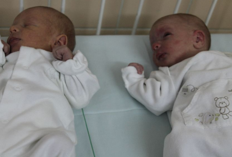 Takács Dávid és Takács Áron 