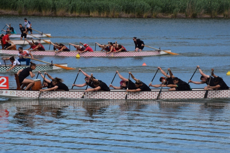 Országos bajnoki címet szereztek a Széchenyi Egyetem hallgatói