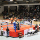 2013.03.31 Szombat IV.KOKO-GYM Küzdősport gála (1) fotók:árpika