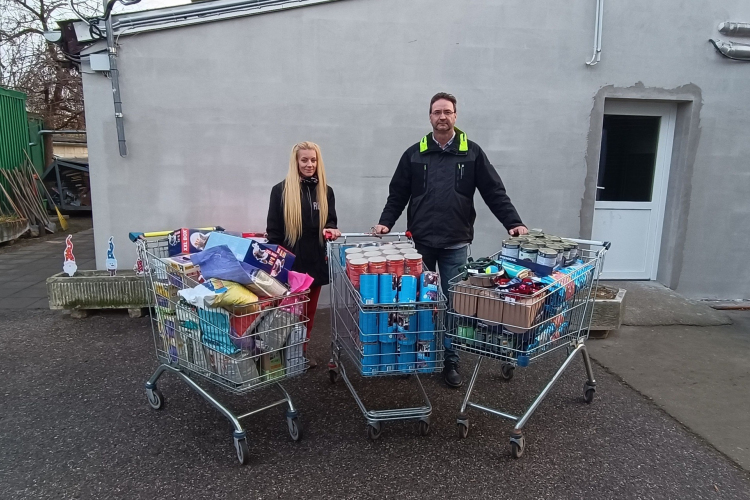 Kutyáknak és cicáknak gyűjtött a két győri iskola