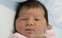 Horváth Liza Ágnes