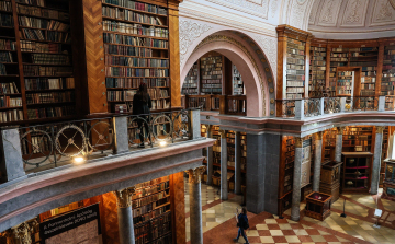 Végveszélyben a pannonhalmi apátság könyvtára, rovar támadta meg