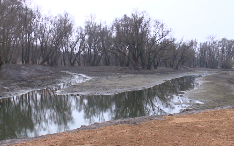 Tovább fejlődik a halgazdálkodás térségünkben