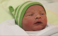 Tolnai-Szabó Zénó