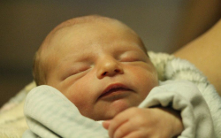 Molnár Botond Dávid 