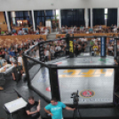 2015.05.09. Profi MMA Gála fotók:árpika