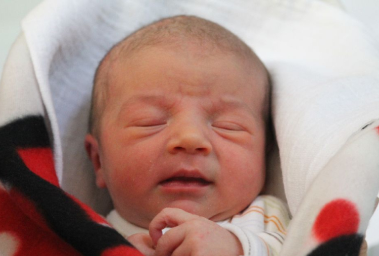 Tarczal Hanka Júlia 