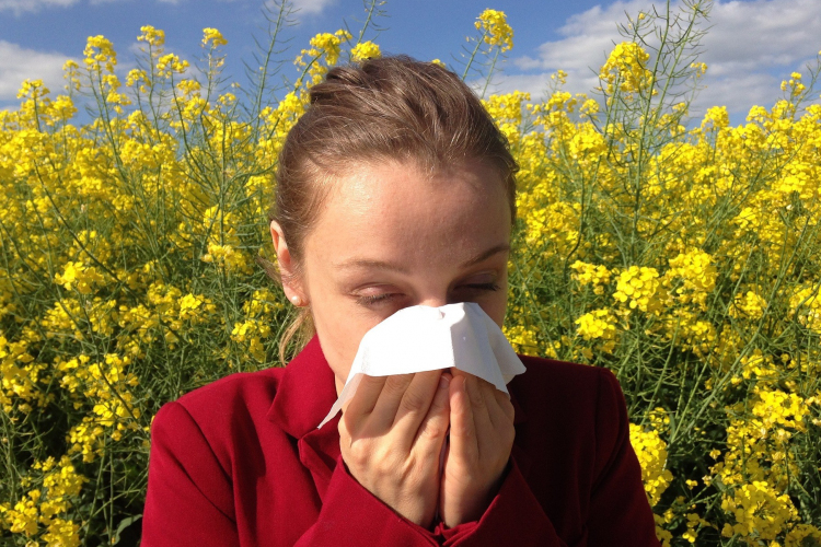 Nem lélegezhetnek fel az allergiások
