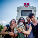 Best of Volt Fesztivál