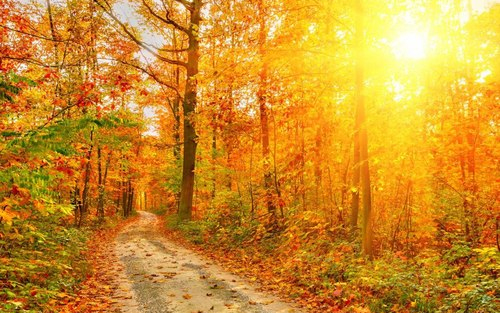 A hétvégén is folytatódik a meleg napsütéses idő