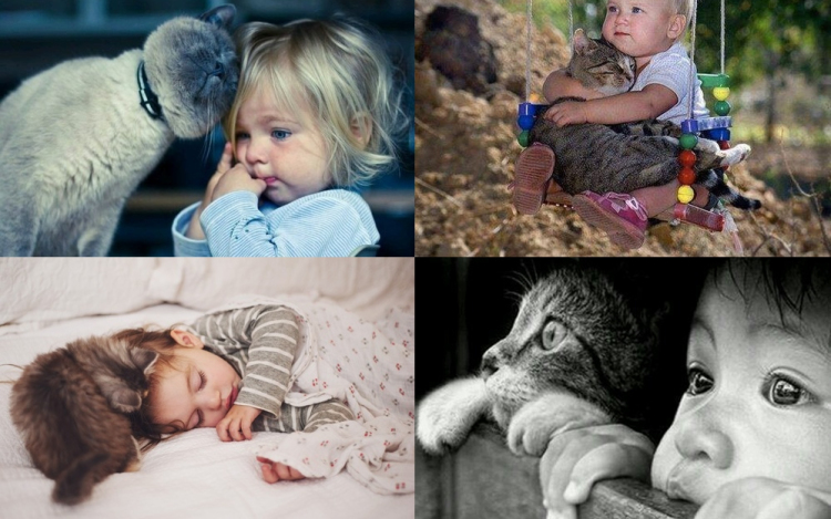 14 macska, akik imádják a gyerekeket