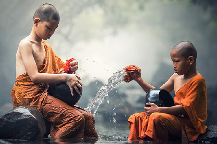 Táplálkozási tanácsok Novák Pétertől-30. rész: A méregtelenítés mítosza