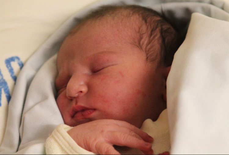 Pádár Nikol Fatima 