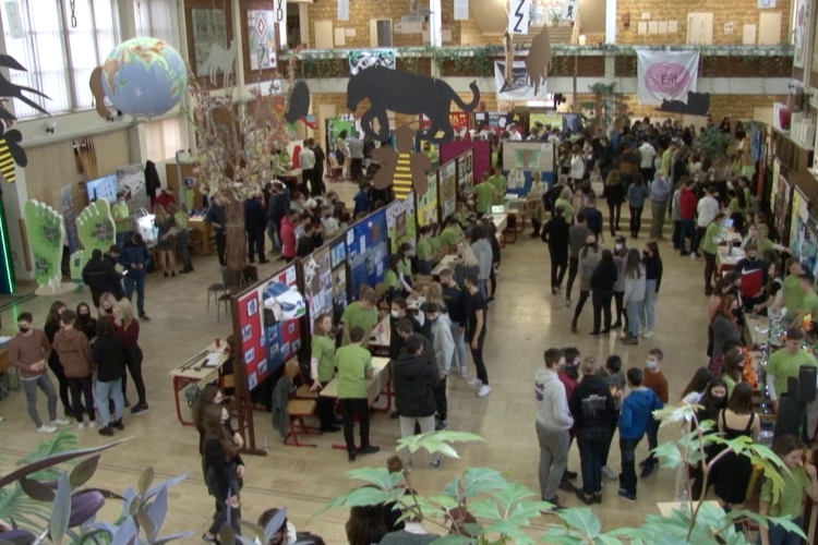 Diákok kísérleteztek a Fizika Napján