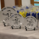 2020.01.18 VI.Varga András női kézilabda emléktorna Öttevény Fotók:árpika 