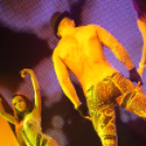 Vertigo @ Brick Lake 2013.10.19. (Szombat) (1) (Fotók Vertigo)