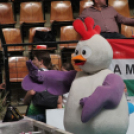 2017.07.28. EYOF 2017 Győr 5.nap Fotók:árpika