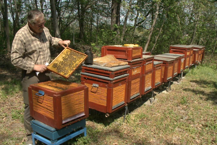 Óvni kell a méheket