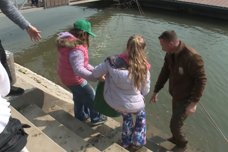 Gyerekek telepítettek halakat a Mosoni-Dunába