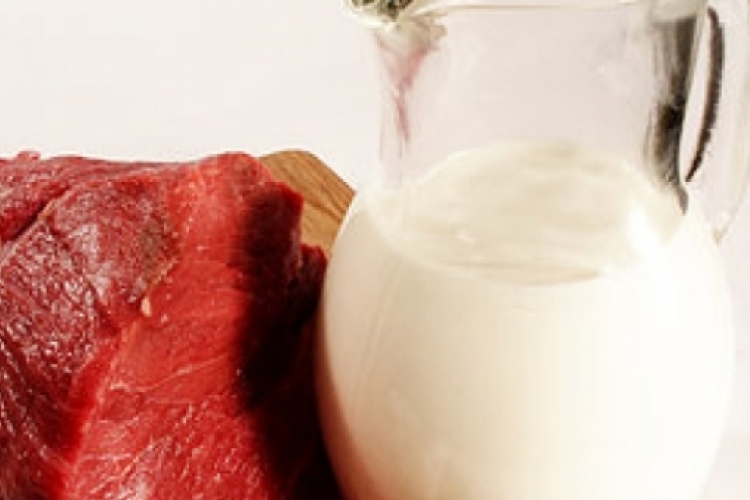 Több a jótékony omega-3 zsírsav az organikus tejben és húsokban
