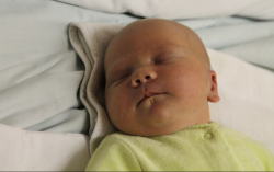 Táncos Noel Árpád 