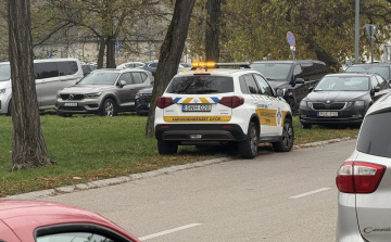 Pintér felmentette az egyik polgármesteri biztosát, akit az a vád ért, hogy összetűzésbe keveredett a városrendészekkel