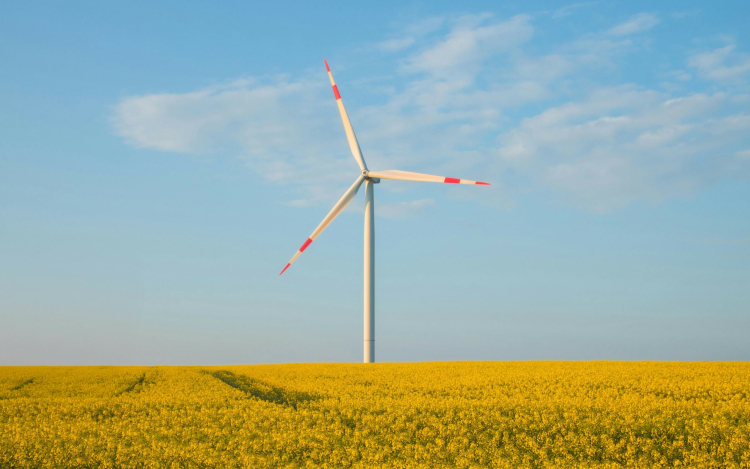 IV. Sövény – Ökoolimpia Győrben