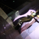 Club Vertigo - Ladies Free  Led & Fetish Party 2013.01.19. (szombat) (2) (Fotók: Vertigo)