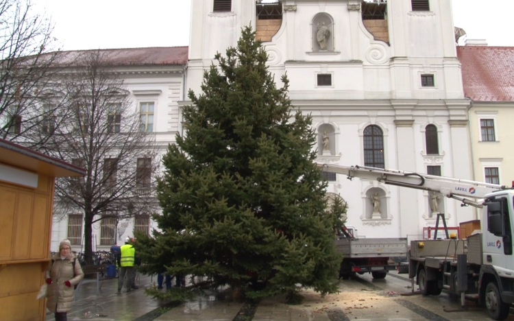 Megérkezett a karácsonyfa a Széchenyi térre