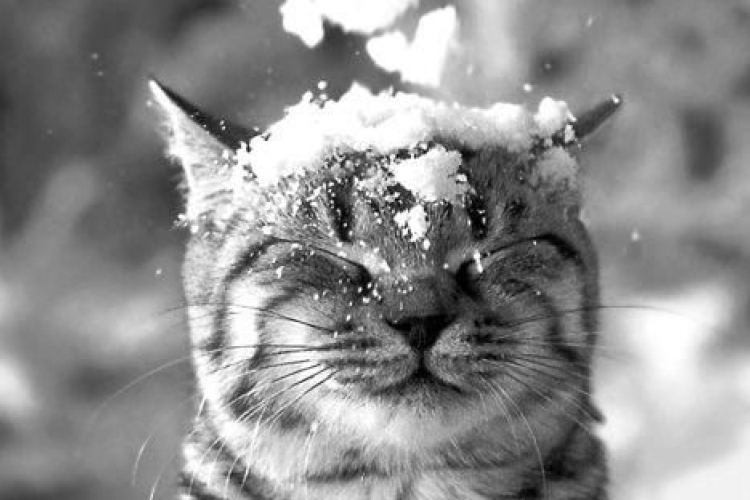 Ország több területén havazott - Ott már esik?